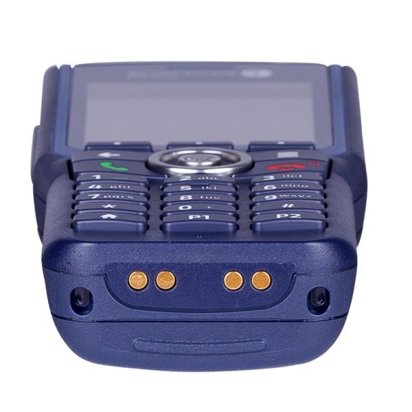 8244 DECT